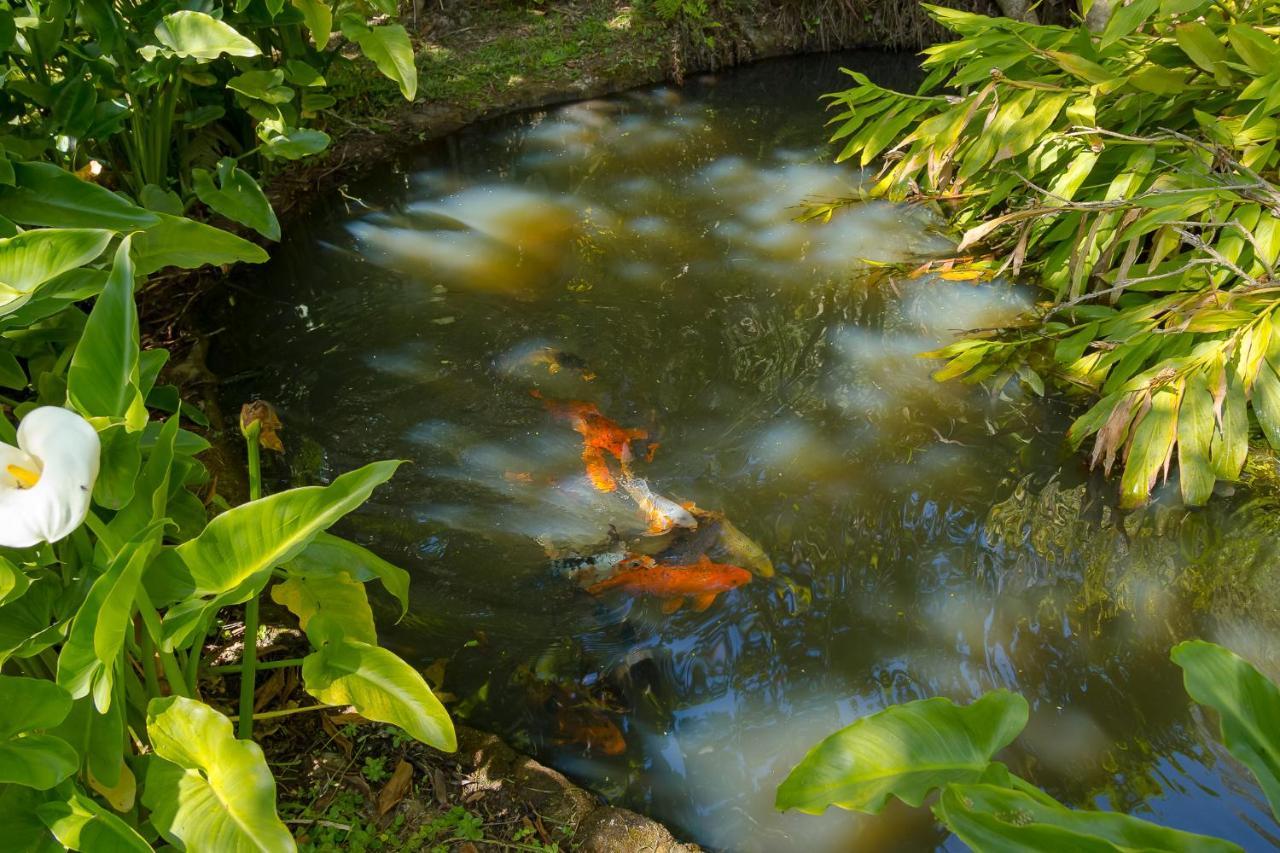Pousada Passaredo Montanha Ibiúna Esterno foto