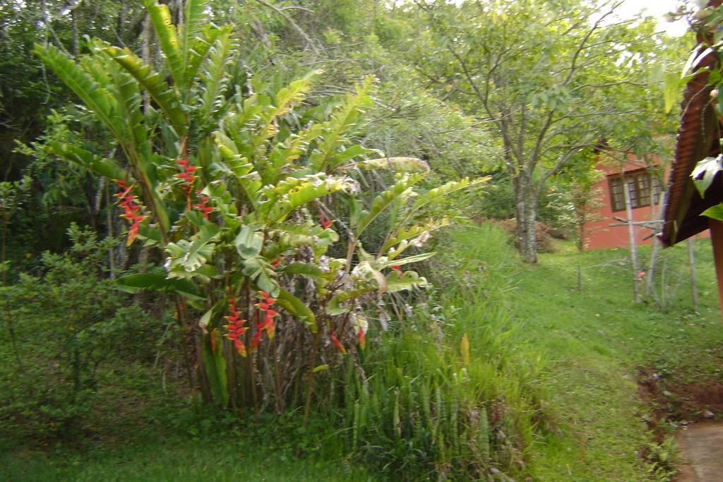 Pousada Passaredo Montanha Ibiúna Esterno foto